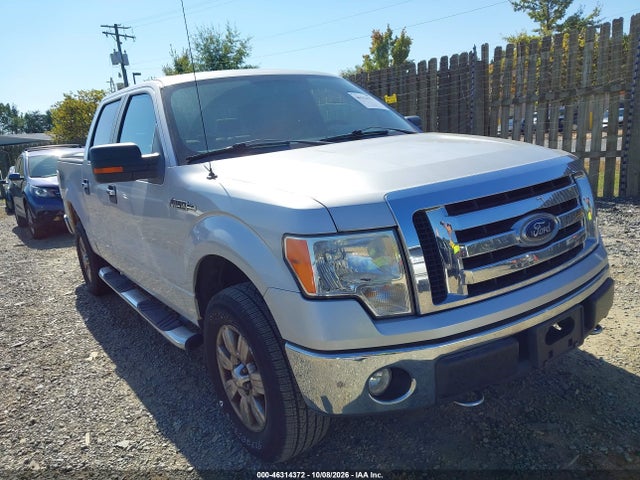 46314372 :رقم المزاد ، 1FTPW14VX9FB16213 vin ، 2009 Ford F-150 Fx4/king Ranch/lariat/platinum/xl/xlt مزاد بيع