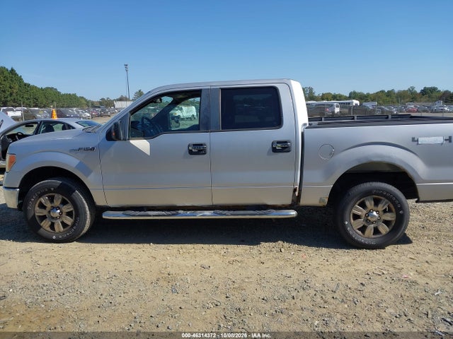 46314372 :رقم المزاد ، 1FTPW14VX9FB16213 vin ، 2009 Ford F-150 Fx4/king Ranch/lariat/platinum/xl/xlt مزاد بيع