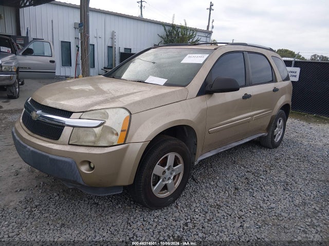 Продаж на аукціоні авто 2005 Chevrolet Equinox Ls, vin: 2CNDL13F256060466, номер лоту: 46314501