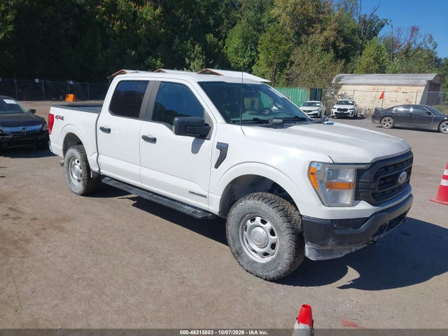 46315803 :رقم المزاد ، 1FTFW1E18MFC22014 vin ، 2021 Ford F-150 Xl مزاد بيع
