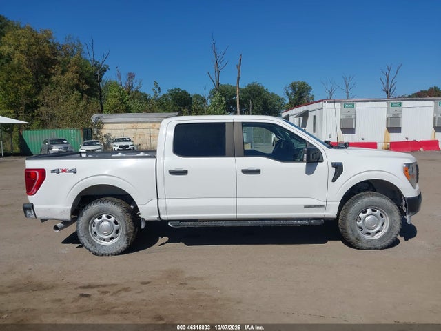 46315803 :رقم المزاد ، 1FTFW1E18MFC22014 vin ، 2021 Ford F-150 Xl مزاد بيع