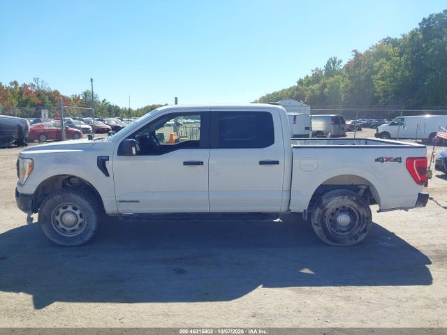 46315803 :رقم المزاد ، 1FTFW1E18MFC22014 vin ، 2021 Ford F-150 Xl مزاد بيع