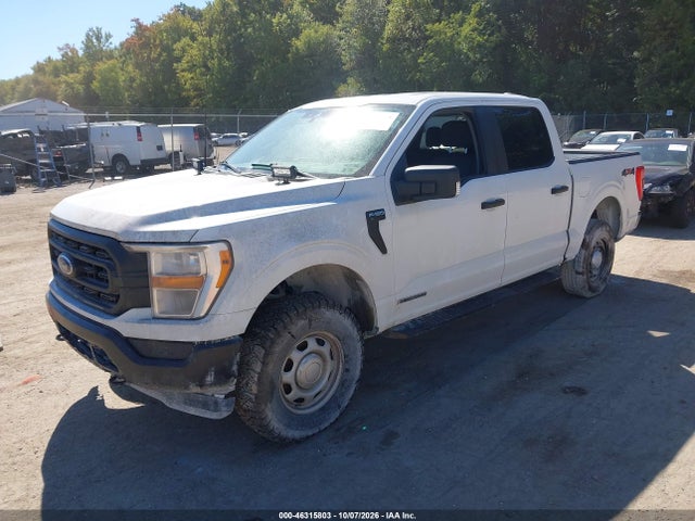 46315803 :رقم المزاد ، 1FTFW1E18MFC22014 vin ، 2021 Ford F-150 Xl مزاد بيع