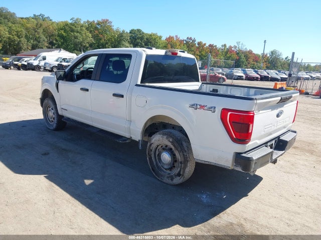 46315803 :رقم المزاد ، 1FTFW1E18MFC22014 vin ، 2021 Ford F-150 Xl مزاد بيع