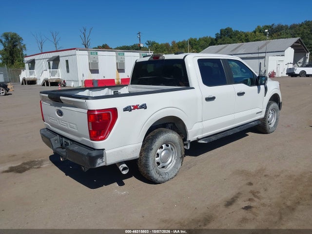 46315803 :رقم المزاد ، 1FTFW1E18MFC22014 vin ، 2021 Ford F-150 Xl مزاد بيع
