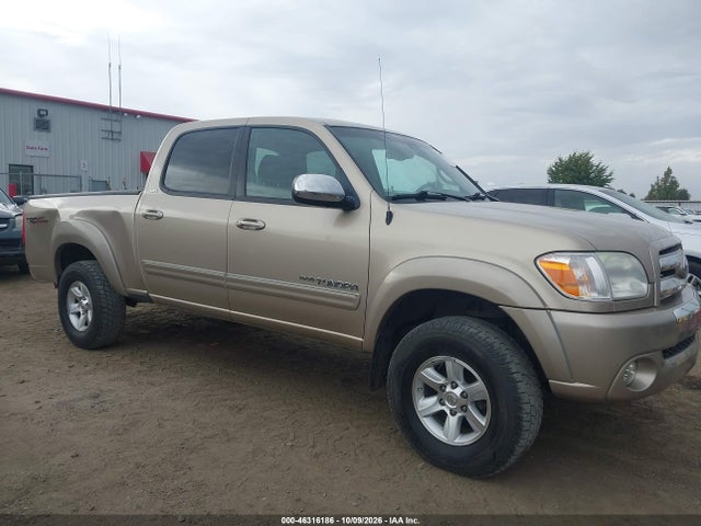 46316186 :رقم المزاد ، 5TBDT44196S514382 vin ، 2006 Toyota Tundra Sr5 V8 مزاد بيع