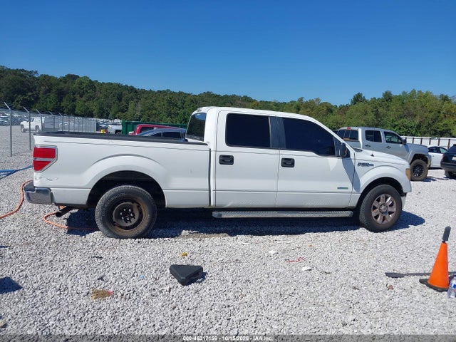46317156 :رقم المزاد ، 1FTFW1CT6DFB54560 vin ، 2013 Ford F-150 Xlt مزاد بيع