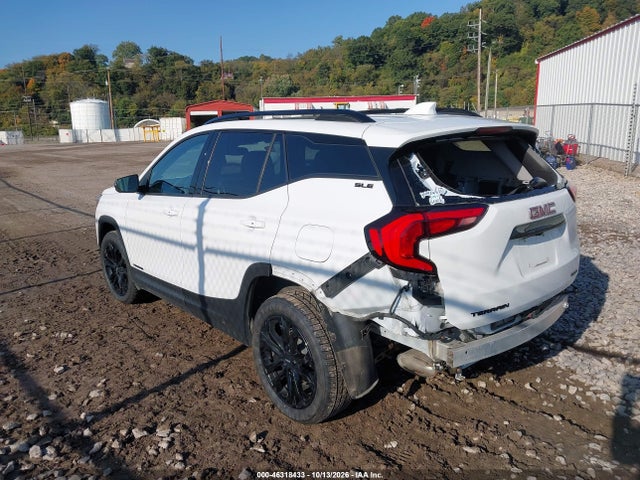 46318433 :رقم المزاد ، 3GKALTEV4LL154627 vin ، 2020 Gmc Terrain Awd Sle مزاد بيع