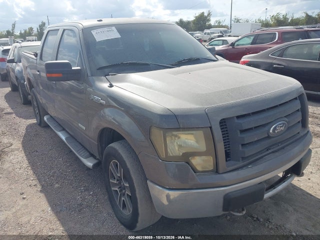 46319059 :رقم المزاد ، 1FTFW1ET5DKE63599 vin ، 2013 Ford F-150 Xlt مزاد بيع