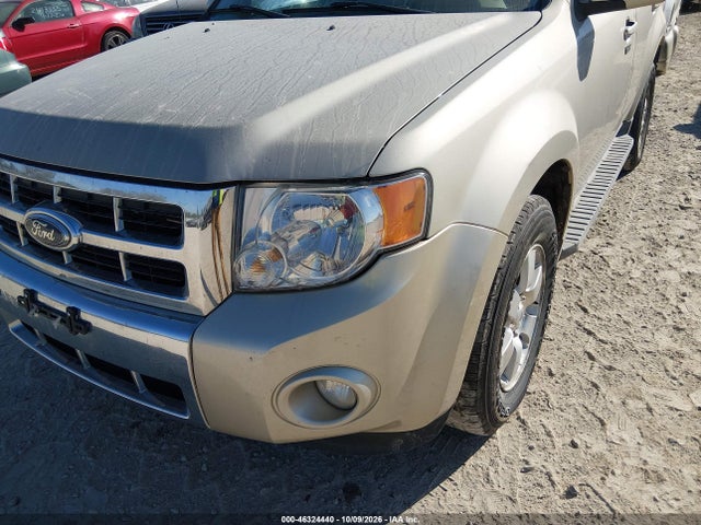 Auction sale of the 2010 Ford Escape Limited, vin: 1FMCU9E78AKB60799, lot number: 46324440