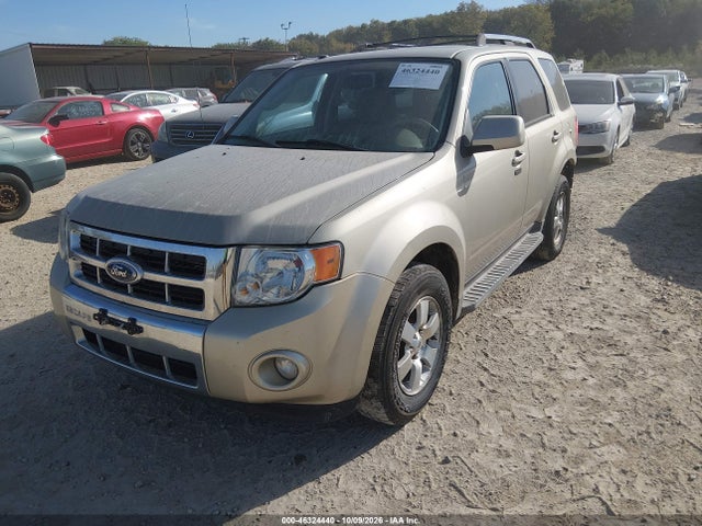 Auction sale of the 2010 Ford Escape Limited, vin: 1FMCU9E78AKB60799, lot number: 46324440
