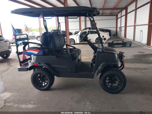 Продаж на аукціоні авто 2025 Coleman Golf Cart, vin: L9NACGZA7S1310263, номер лоту: 46326760