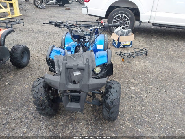 2021 Tao Tao 150cc მანქანა იყიდება აუქციონზე, vin: L9NACFD35M1900302, აუქციონის ნომერი: 46328458