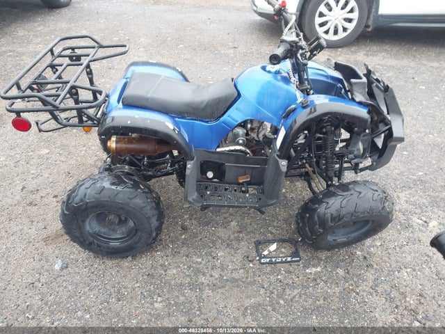 2021 Tao Tao 150cc მანქანა იყიდება აუქციონზე, vin: L9NACFD35M1900302, აუქციონის ნომერი: 46328458