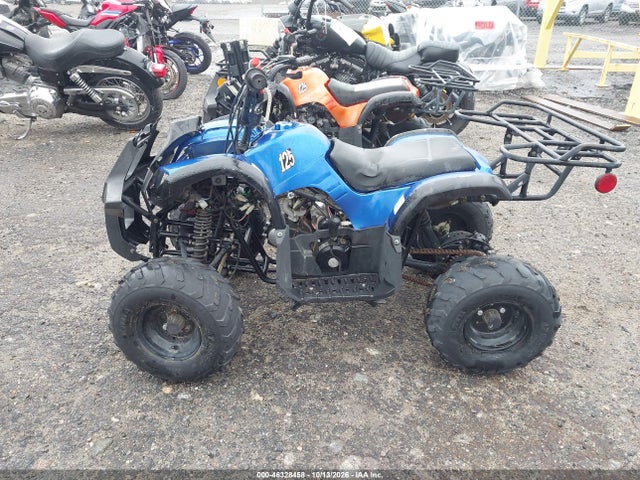 2021 Tao Tao 150cc მანქანა იყიდება აუქციონზე, vin: L9NACFD35M1900302, აუქციონის ნომერი: 46328458