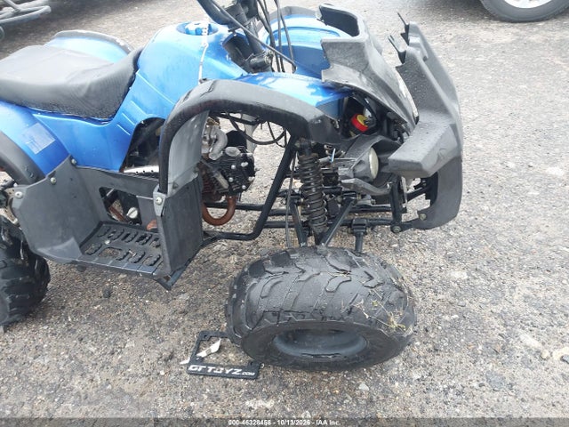 2021 Tao Tao 150cc მანქანა იყიდება აუქციონზე, vin: L9NACFD35M1900302, აუქციონის ნომერი: 46328458