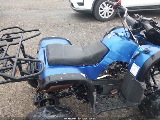 2021 Tao Tao 150cc მანქანა იყიდება აუქციონზე, vin: L9NACFD35M1900302, აუქციონის ნომერი: 46328458