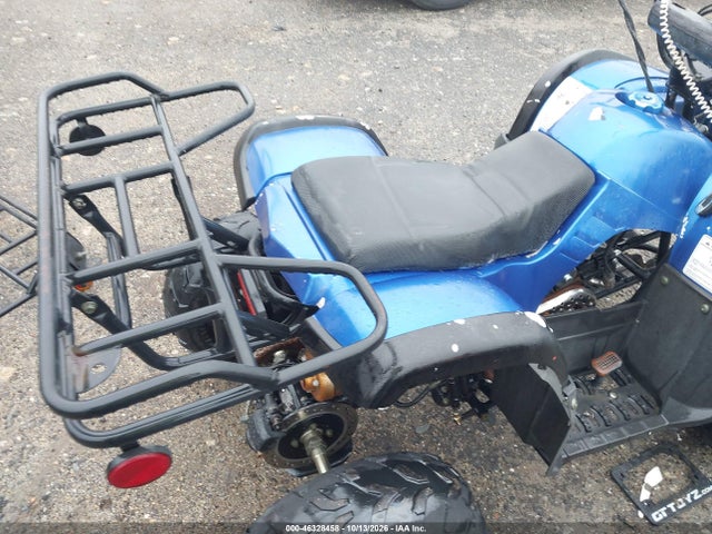 2021 Tao Tao 150cc მანქანა იყიდება აუქციონზე, vin: L9NACFD35M1900302, აუქციონის ნომერი: 46328458