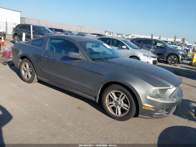 46331611 :رقم المزاد ، 1ZVBP8AM1D5216496 vin ، 2013 Ford Mustang V6 مزاد بيع