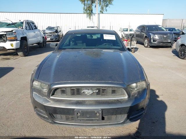 46331611 :رقم المزاد ، 1ZVBP8AM1D5216496 vin ، 2013 Ford Mustang V6 مزاد بيع
