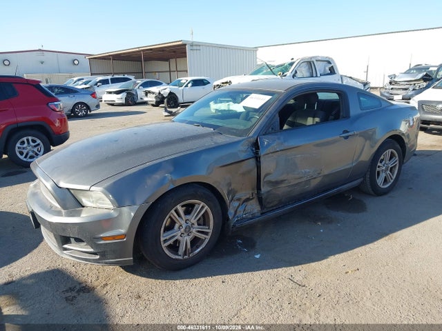 46331611 :رقم المزاد ، 1ZVBP8AM1D5216496 vin ، 2013 Ford Mustang V6 مزاد بيع