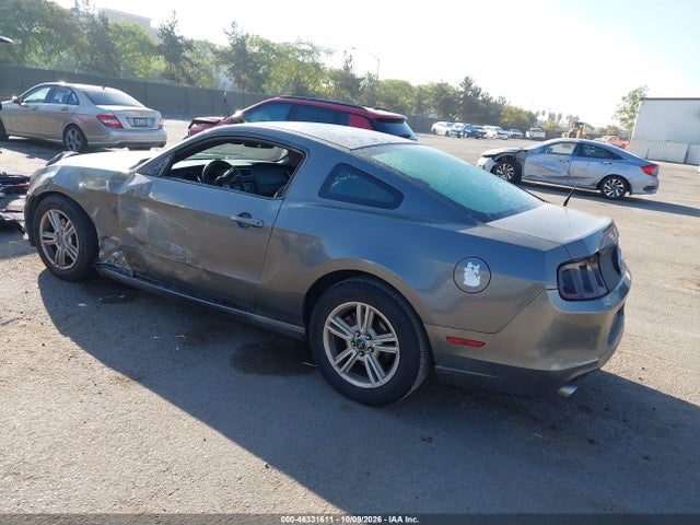 46331611 :رقم المزاد ، 1ZVBP8AM1D5216496 vin ، 2013 Ford Mustang V6 مزاد بيع