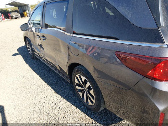 Honda Odyssey Ex-l 2025 5FNRL6H66SB082766 Image 19