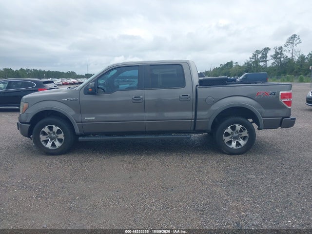 2014 Ford F-150 Fx4 მანქანა იყიდება აუქციონზე, vin: 1FTFW1ET2EFA48721, აუქციონის ნომერი: 46333255