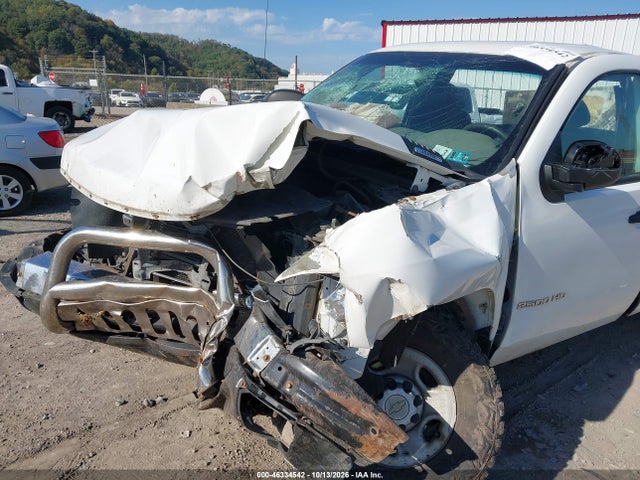 Aukcja sprzedaży 2010 Chevrolet Silverado 2500hd Work Truck, vin: 1GC3KVBG1AF141253, numer aukcji: 46334542