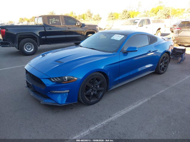 Продаж на аукціоні авто 2020 Ford Mustang Ecoboost Fastback, vin: 1FA6P8TH1L5114284, номер лоту: 46338313
