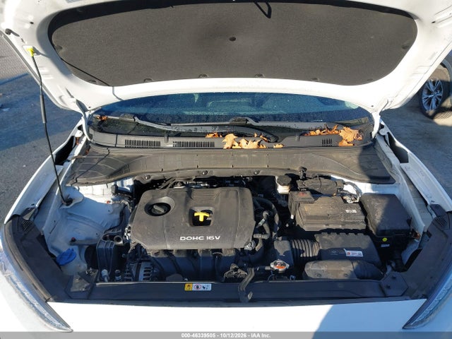 KM8K6CAA2KU317804 Hyundai Kona Sel