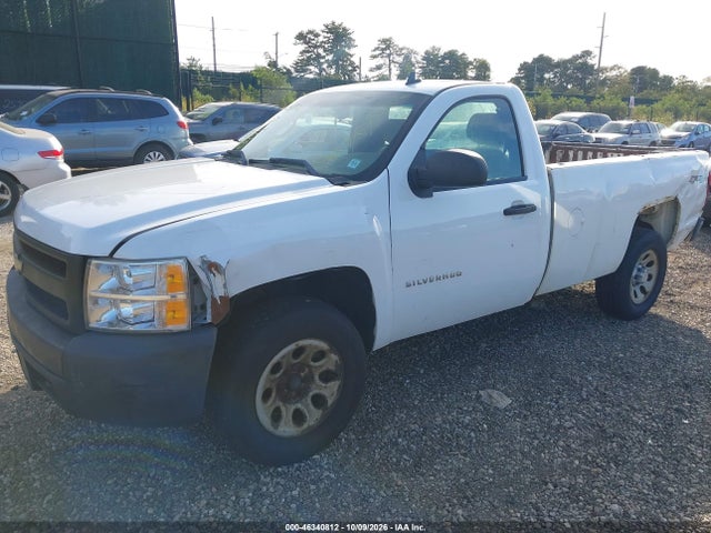 Продажа на аукционе авто 2008 Chevrolet Silverado 1500 Work Truck, vin: 1GCEK14C78Z270148, номер лота: 46340812