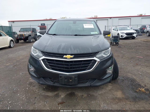 Aukcja sprzedaży 2019 Chevrolet Equinox Ls, vin: 2GNAXHEV4K6297665, numer aukcji: 46341010