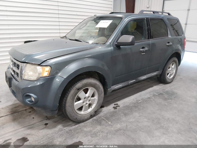 46343467 :رقم المزاد ، 1FMCU0D7XBKB65307 vin ، 2011 Ford Escape Xlt مزاد بيع
