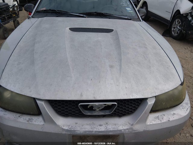 2002 Ford Mustang მანქანა იყიდება აუქციონზე, vin: 1FAFP40472F165274, აუქციონის ნომერი: 46343600