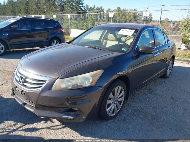 Продажа на аукционе авто 2011 Honda Accord 3.5 Ex-l, vin: 1HGCP3F81BA006556, номер лота: 46344630