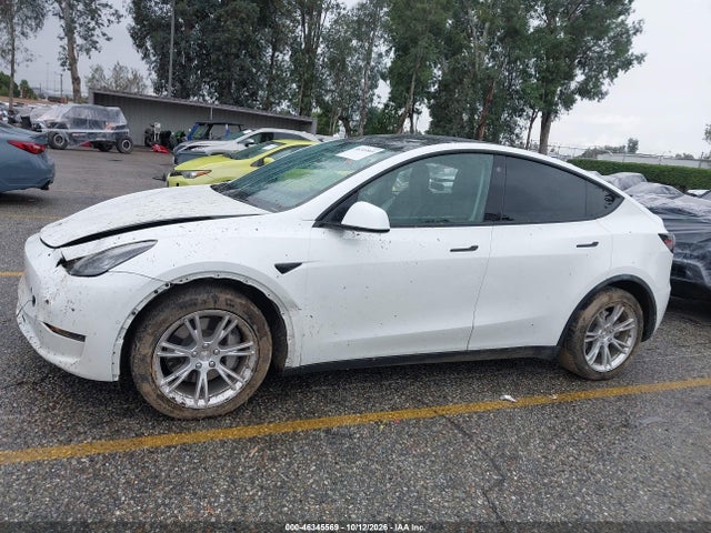 46345569 :رقم المزاد ، 5YJYGDEE1MF078546 vin ، 2021 Tesla Model Y Long Range Dual Motor All-wheel Drive مزاد بيع