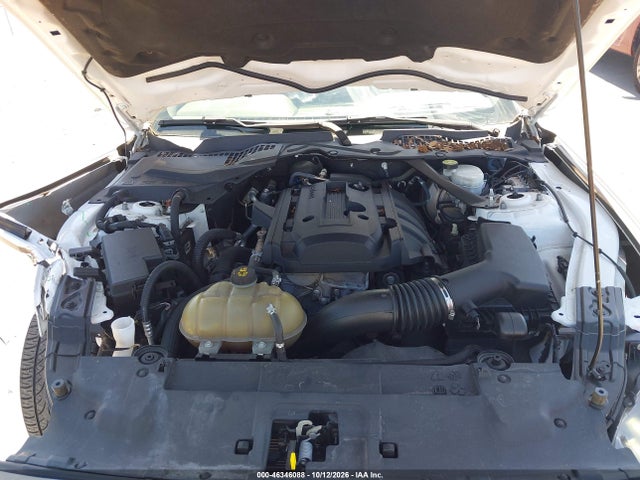 46346088 :رقم المزاد ، 1FATP8UH5K5178764 vin ، 2019 Ford Mustang Ecoboost Premium مزاد بيع