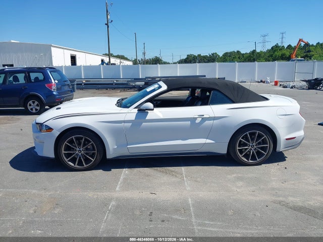 46346088 :رقم المزاد ، 1FATP8UH5K5178764 vin ، 2019 Ford Mustang Ecoboost Premium مزاد بيع