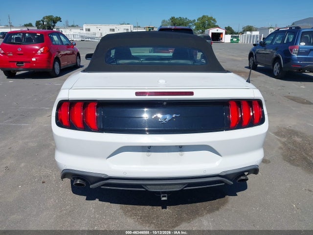 46346088 :رقم المزاد ، 1FATP8UH5K5178764 vin ، 2019 Ford Mustang Ecoboost Premium مزاد بيع