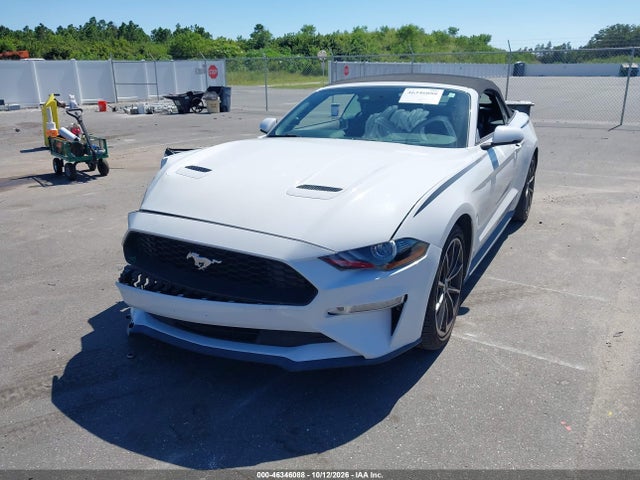 46346088 :رقم المزاد ، 1FATP8UH5K5178764 vin ، 2019 Ford Mustang Ecoboost Premium مزاد بيع