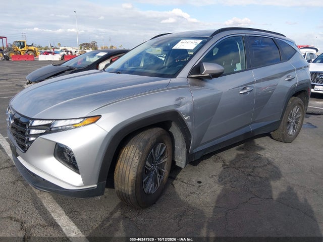 46347929 :رقم المزاد ، KM8JBCD11RU150302 vin ، 2024 Hyundai Tucson Hybrid Blue مزاد بيع