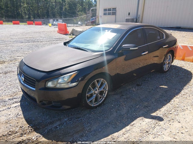 46348273 :رقم المزاد ، 1N4AA5AP0BC848784 vin ، 2011 Nissan Maxima 3.5 Sv مزاد بيع
