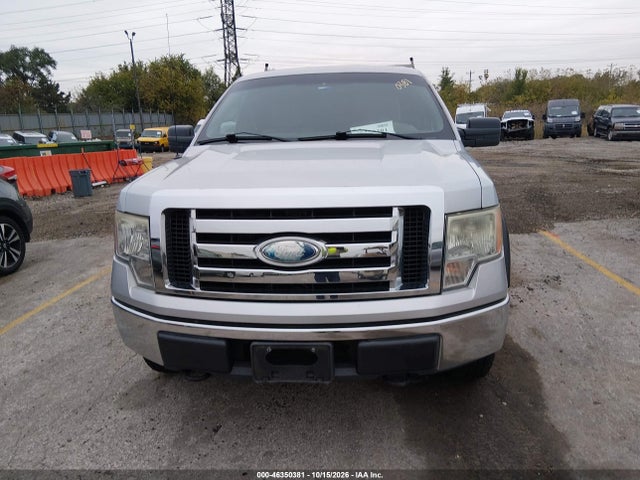 Auction sale of the 2009 Ford F-150 Xlt, vin: 1FTRX14819KB12249, lot number: 46350381