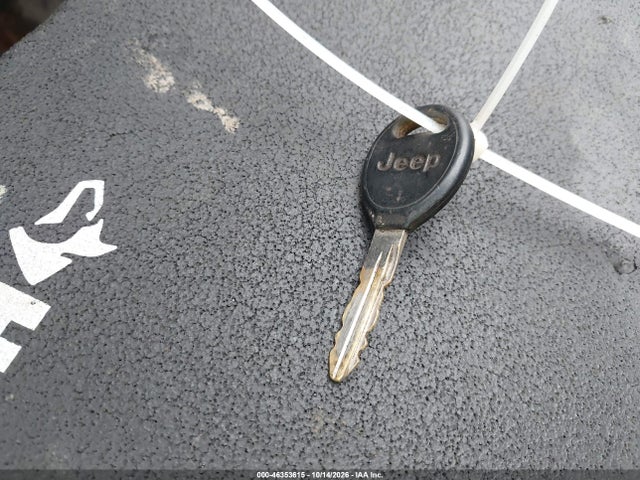 Продаж на аукціоні авто 2004 Jeep Wrangler X, vin: 1J4FA39S94P723317, номер лоту: 46353615