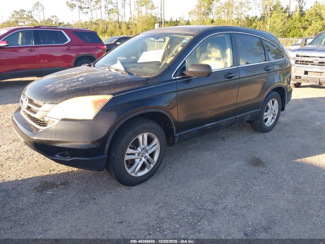 Aukcja sprzedaży 2010 Honda Cr-v Ex-l, vin: 5J6RE3H75AL017527, numer aukcji: 46356808