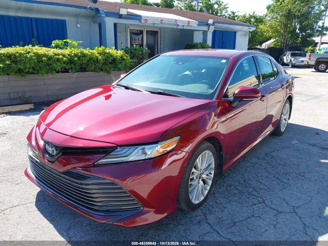 Aukcja sprzedaży 2020 Toyota Camry Hybrid Xle, vin: 4T1F31AK0LU543445, numer aukcji: 46356945