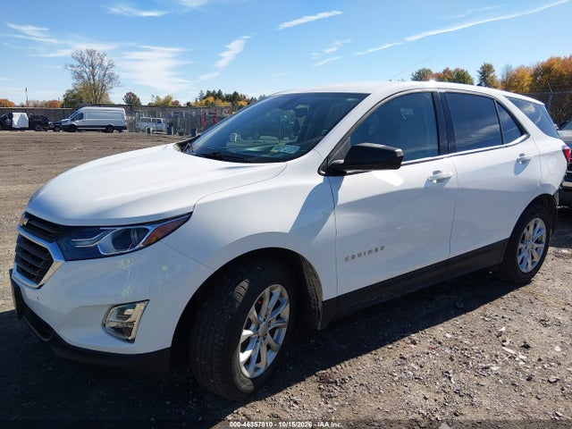 Продажа на аукционе авто 2019 Chevrolet Equinox Ls, vin: 2GNAXHEV3K6129595, номер лота: 46357810