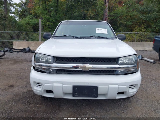46358405 :رقم المزاد ، 1GNDT13S382179329 vin ، 2008 Chevrolet Trailblazer Fleet مزاد بيع