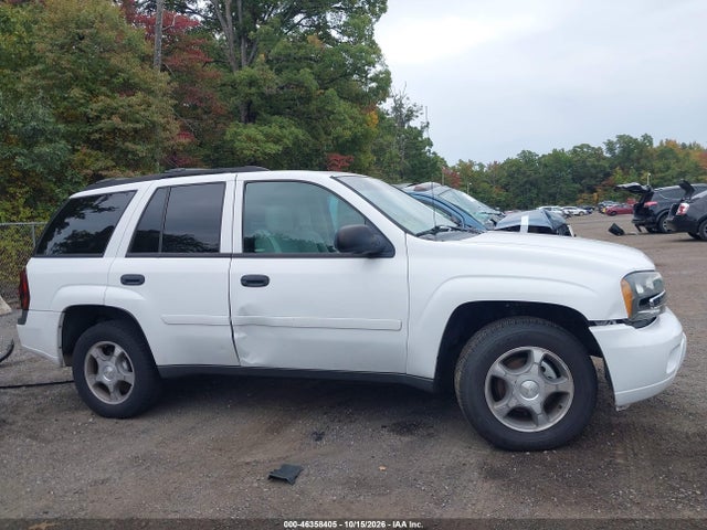 46358405 :رقم المزاد ، 1GNDT13S382179329 vin ، 2008 Chevrolet Trailblazer Fleet مزاد بيع